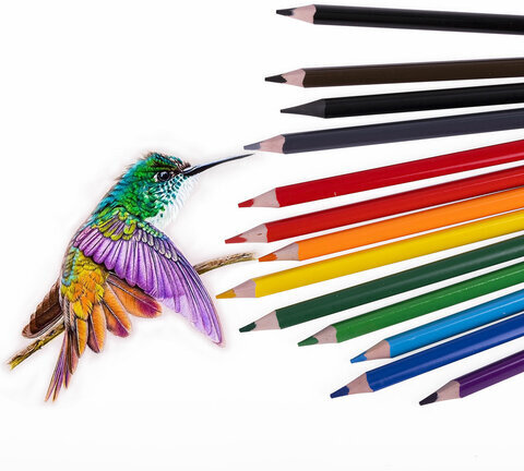 Карандаши цветные пластиковые, BRAUBERG PREMIUM 12 цветов + 1 чернографитный карандаш, трехгранный корпус, грифель 3 мм, 181936