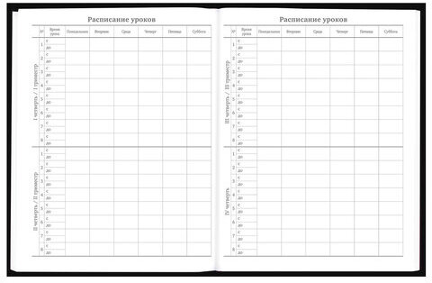 Дневник 5-11 класс 48 л., твердый, BRAUBERG, выборочный лак, с подсказом, "Dragon", 107195