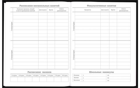 Дневник 5-11 класс 48 л., твердый, BRAUBERG, выборочный лак, с подсказом, "Dragon", 107195