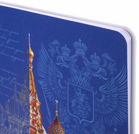 Дневник 1-11 класс 48 л., кожзам (гибкая), печать, фольга, BRAUBERG, "Россия", 106175