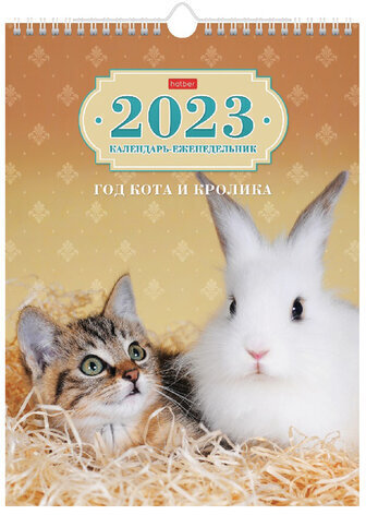 Календарь на гребне с ригелем, 2023 г., 24х32 см, Еженедельник, 56 л., "Кот и Кролик", HATBER, 56Кнп4гр_28035