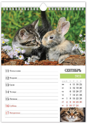 Календарь на гребне с ригелем, 2023 г., 24х32 см, Еженедельник, 56 л., "Кот и Кролик", HATBER, 56Кнп4гр_28035