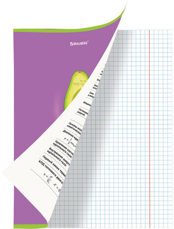 Тетрадь предметная "AVOCADO" 48 л., глянцевый лак, ФИЗИКА, клетка, BRAUBERG, 404283