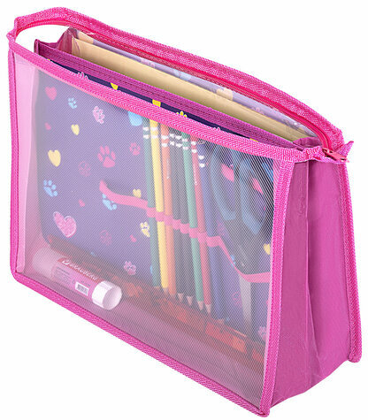 Папка для труда на молнии BRAUBERG А4, 2 отделения, органайзер, "Playing kitty", 270976