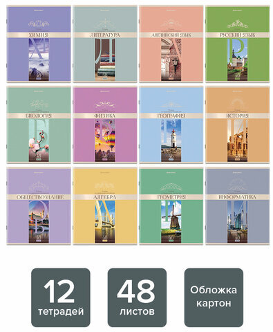Тетради предметные, КОМПЛЕКТ 12 ПРЕДМЕТОВ, "DELIGHT", 48 л., обложка картон, BRAUBERG, 404606