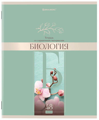 Тетради предметные, КОМПЛЕКТ 12 ПРЕДМЕТОВ, "DELIGHT", 48 л., обложка картон, BRAUBERG, 404606