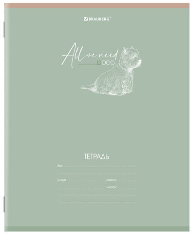 Тетрадь 24 л. BRAUBERG клетка, обложка картон, "PASTEL", 106486
