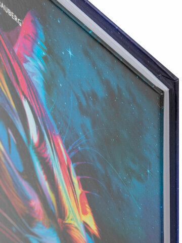 Дневник 5-11 класс 48 л., твердый, BRAUBERG, глянцевая ламинация, с подсказом, "Space cat", 106865