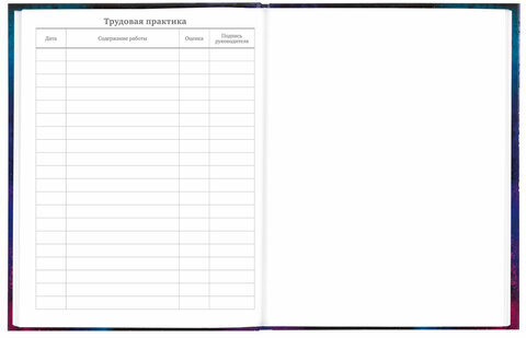 Дневник 5-11 класс 48 л., твердый, BRAUBERG, глянцевая ламинация, с подсказом, "Space cat", 106865