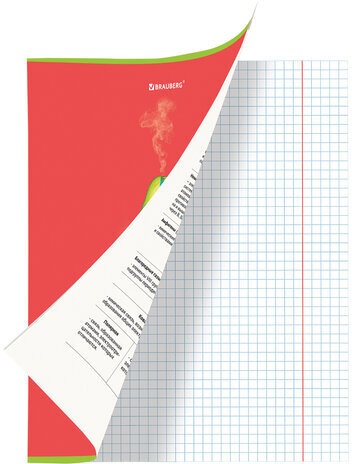 Тетрадь предметная "AVOCADO" 48 л., глянцевый лак, ХИМИЯ, клетка, BRAUBERG, 404284