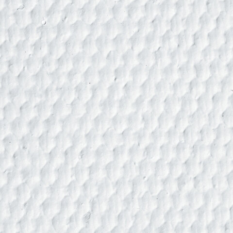 Холст на картоне с контуром BRAUBERG ART CLASSIC "КОТ", 30х40см, грунтованный, хлопок, 191549