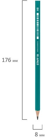 Карандаш чернографитный STAFF "EVERYDAY" BLP-GRN, 1 шт., НВ, пластиковый, корпус зеленый, 181938
