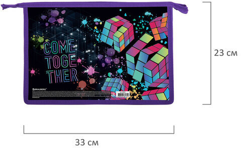 Папка для труда на молнии BRAUBERG А4, 2 отделения, органайзер, "Come together", 270977