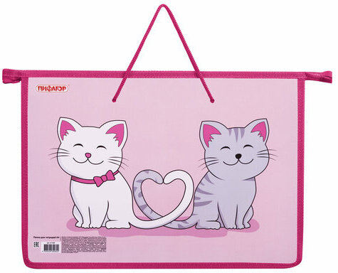 Папка на молнии с ручками ПИФАГОР А4, 1 отделение, пластик, ручки-шнурок, "Best Buds", 271469