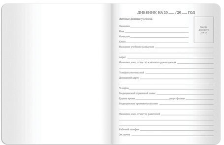 Дневник 1-11 класс 48 л., кожзам (гибкая), термотиснение, BRAUBERG "LATTE", зеленый, 105436