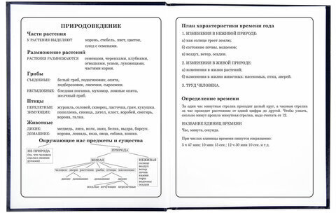 Дневник 1-4 класс 48 л., твердый, ЮНЛАНДИЯ, глянцевая ламинация, с подсказом, "Котики", 106352