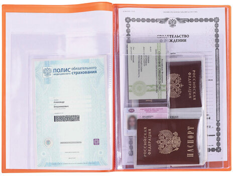 Папка для семейных документов с файлами (паспорта, свидетельства, полисы, СНИЛС) STAFF, 16 отделений, ПВХ, оранжевая, 237807