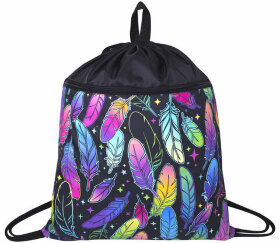 Мешок для обуви BRAUBERG БОЛЬШОЙ, с ручкой, карман на молнии, сетка, 51х41 см, &quot;Feathers&quot;, 271057