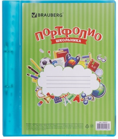Папка для портфолио школьника, 2 кольца, 20 файлов, пластик, полупрозрачный, синяя, BRAUBERG, 126557