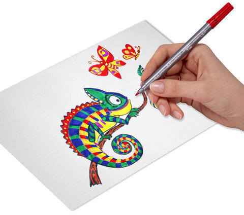 Фломастеры двусторонние BRAUBERG "PREMIUM" "DUAL-TIP", 10 шт., 10 цветов, два наконечника, картонная коробка с европодвесом, 151946