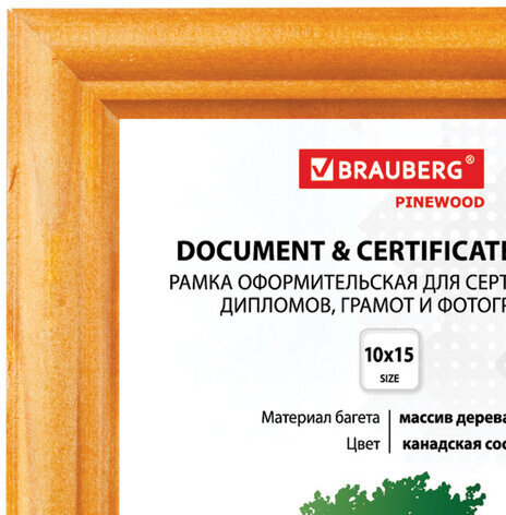 Рамка 10х15 см, дерево, багет 18 мм, BRAUBERG "HIT", канадская сосна, стекло, подставка, 390019