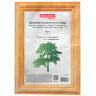 Рамка 10х15 см, дерево, багет 18 мм, BRAUBERG "HIT", канадская сосна, стекло, подставка, 390019