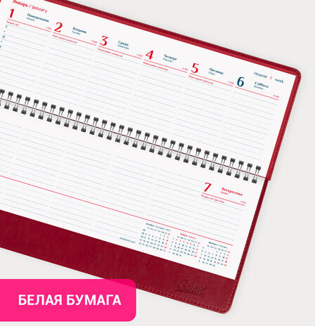 Планинг датированный 2024 305х140 мм, GALANT "Ritter", под кожу, красный, 114820