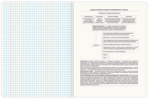Тетрадь предметная "GRADIENT" 48 л., матовая ламинация, лак, ОБЩЕСТВОЗНАНИЕ, клетка, BRAUBERG, 404286