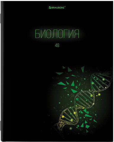 Тетради предметные, КОМПЛЕКТ 12 ПРЕДМЕТОВ, "DARK", 48 листов, глянцевый УФ-лак, BRAUBERG, 404028