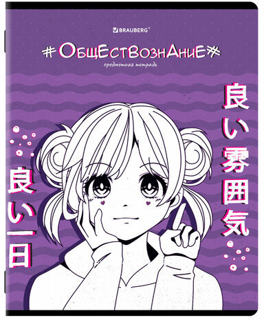 Тетради предметные, КОМПЛЕКТ 12 ПРЕДМЕТОВ, "ANIME", 48 л., глянцевый УФ-лак, BRAUBERG, 404608