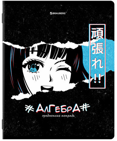 Тетради предметные, КОМПЛЕКТ 12 ПРЕДМЕТОВ, "ANIME", 48 л., глянцевый УФ-лак, BRAUBERG, 404608