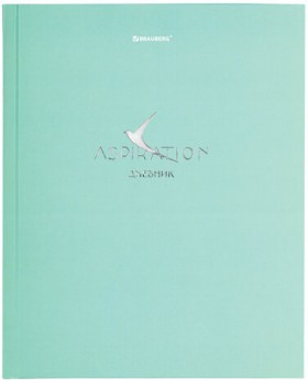 Дневник 5-11 класс 48 л., твердый, BRAUBERG, фольга, с подсказом, &quot;Aspiration&quot;, 107199