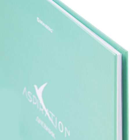 Дневник 5-11 класс 48 л., твердый, BRAUBERG, фольга, с подсказом, "Aspiration", 107199