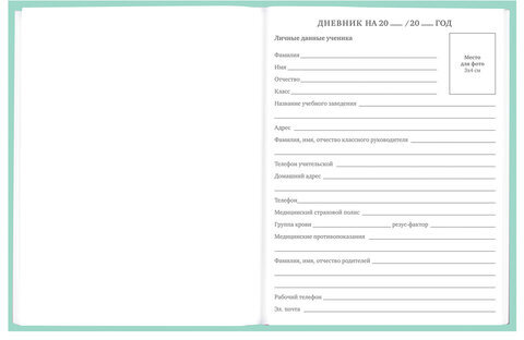 Дневник 5-11 класс 48 л., твердый, BRAUBERG, фольга, с подсказом, "Aspiration", 107199