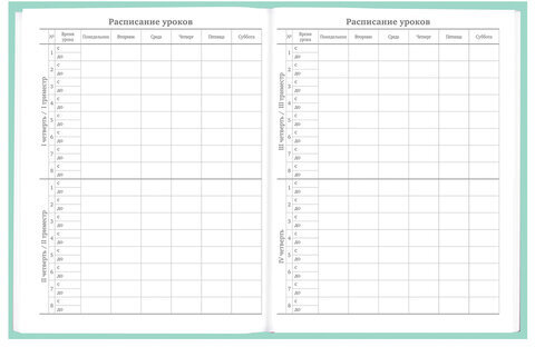 Дневник 5-11 класс 48 л., твердый, BRAUBERG, фольга, с подсказом, "Aspiration", 107199