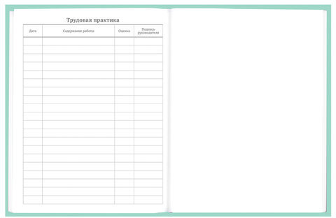 Дневник 5-11 класс 48 л., твердый, BRAUBERG, фольга, с подсказом, "Aspiration", 107199