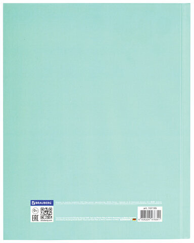 Дневник 5-11 класс 48 л., твердый, BRAUBERG, фольга, с подсказом, "Aspiration", 107199