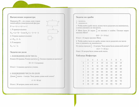 Дневник 1-4 класс 48 л., кожзам (твердая с поролоном), фигурный край, фольга, ЮНЛАНДИЯ, "Панда", 106182