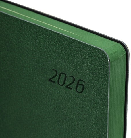 Ежедневник датированный 2026 А5 138x213 мм, BRAUBERG "Stylish", под кожу, гибкий, зеленый, 117102