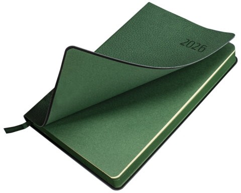 Ежедневник датированный 2026 А5 138x213 мм, BRAUBERG "Stylish", под кожу, гибкий, зеленый, 117102