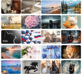 Календарь карманный на 2026 г, BRAUBERG, 64х93 мм, АССОРТИ №2, 20 видов, 117304