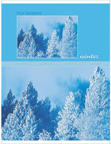 Тетрадь А5, 48 л., HATBER-ECO, скоба, офсет №2 ЭКОНОМ, клетка, обложка картон, "Seasons", 48Т5D1