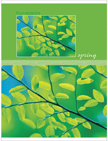 Тетрадь А5, 48 л., HATBER-ECO, скоба, офсет №2 ЭКОНОМ, клетка, обложка картон, "Seasons", 48Т5D1