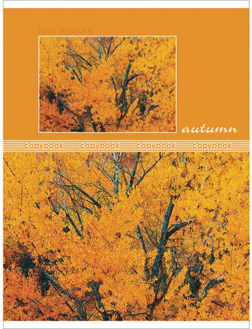 Тетрадь А5, 48 л., HATBER-ECO, скоба, офсет №2 ЭКОНОМ, клетка, обложка картон, "Seasons", 48Т5D1