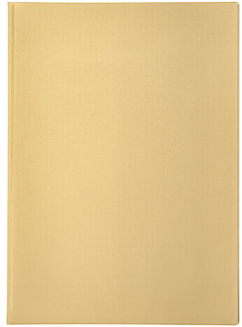 Папка для семейных документов с файлами (паспорта, свидетельства, полисы, СНИЛС) STAFF, 16 отделений, ПВХ, бежевая, 237808