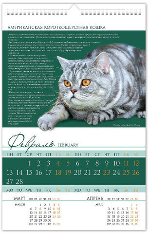 Календарь на гребне с ригелем, 2023 г., 30х45 см, ЛЮКС, "Кот", HATBER, 12Кнп3гр_28018