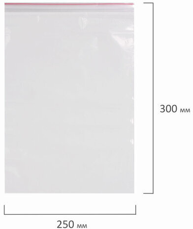 Пакеты с замком ZIP LOCK "зиплок", комплект 100 шт., 250х300 мм, ПВД, толщина 40 микрон, BRAUBERG, 606217