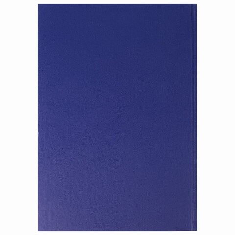 Журнал учета проверок юр.лиц и ИП, 96 л., бумвинил, блок офсет, фольга, А4 (200х290 мм), BRAUBERG, 130235