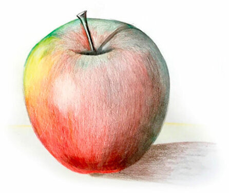 Карандаши цветные BIC "Kids ECOlutions Evolution", 18 цветов, пластиковые, заточенные, европодвес, 937513