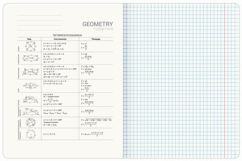 Тетрадь предметная "GRADIENT" 48 л., матовая ламинация, лак, ГЕОМЕТРИЯ, клетка, BRAUBERG, 404290